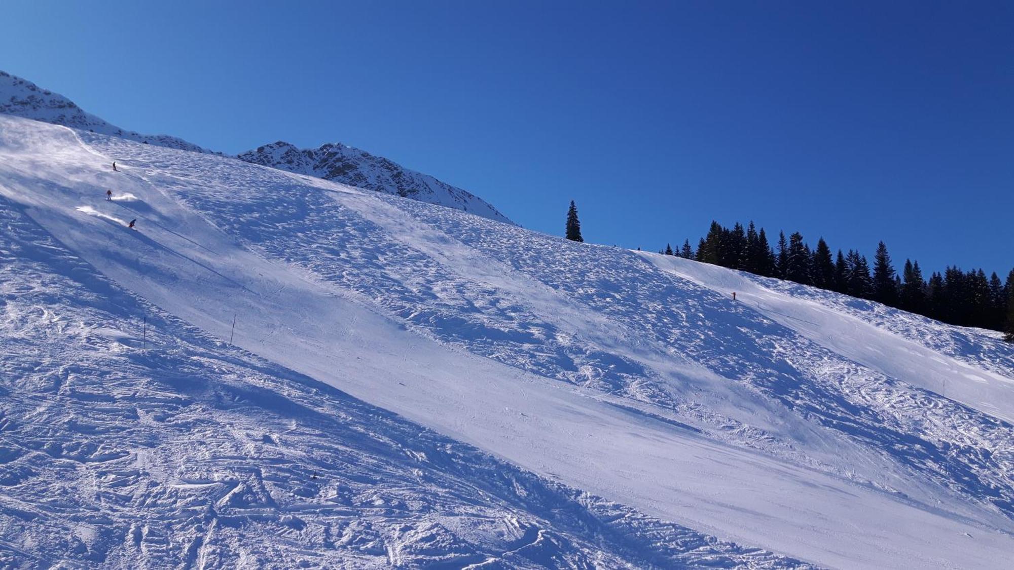 Hotel Alpengasthof Loewen Bad Hindelang Luaran gambar