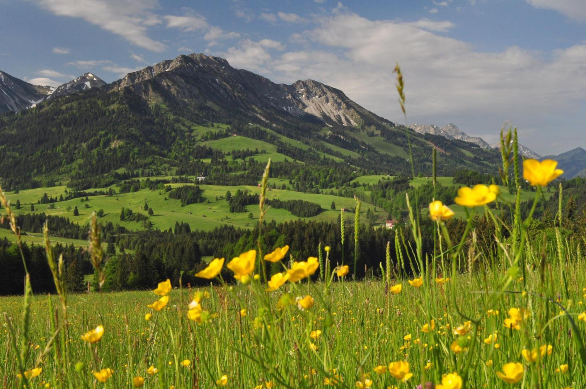 Hotel Alpengasthof Loewen Bad Hindelang Luaran gambar