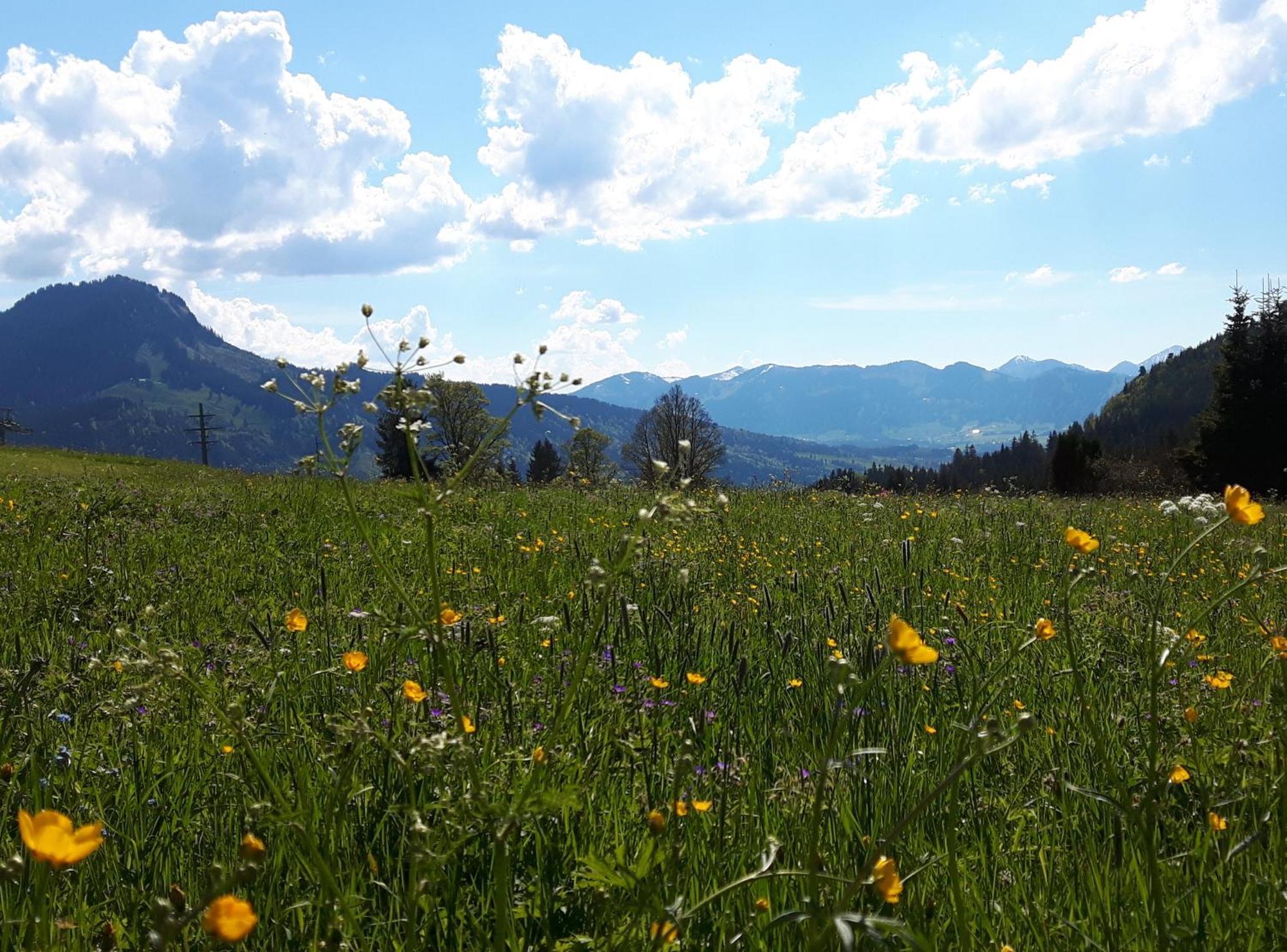 Hotel Alpengasthof Loewen Bad Hindelang Luaran gambar